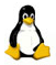 Linux Hosting